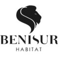 Benisur