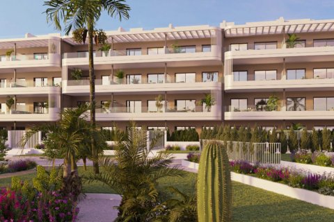 Sunset Village Torrevieja, Alicante, Spānijā Nr. 151219 - attēls 11