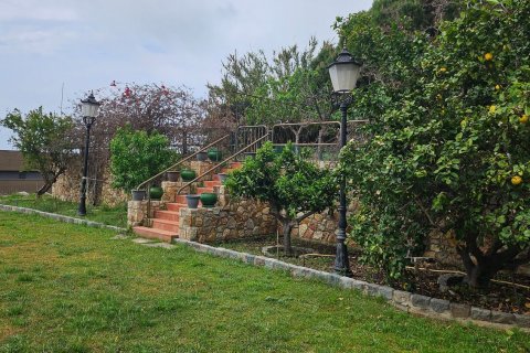 Lokal usługowy w Teia, Barcelona, Hiszpania nr 156648 – zdjęcie 24