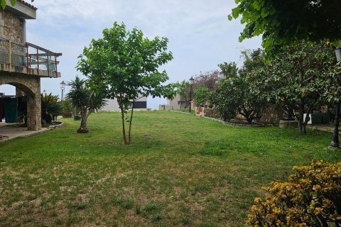 Lokal usługowy w Teia, Barcelona, Hiszpania nr 156648 – zdjęcie 21