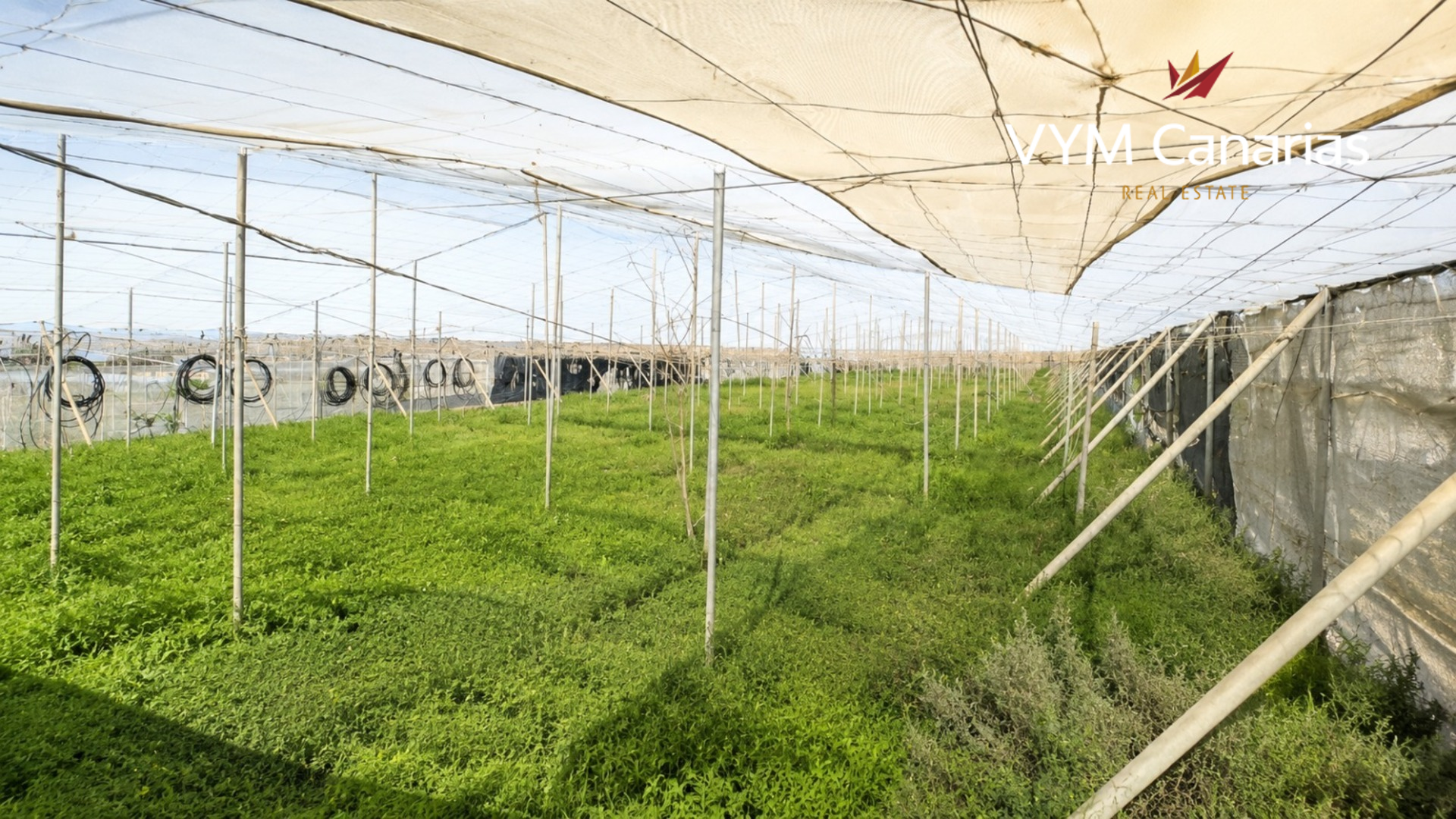 Finca a Granadilla de Abona, Tenerife, Spagna N° 182552