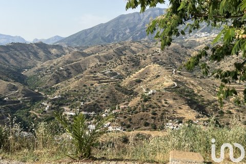 Продажа дома в Канильи де Асейтуно, Малага, Испания 3 спальни, 130м2 №153712 - фото 4