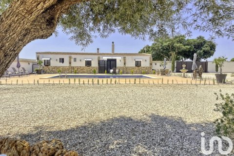 Dom w Dolores, Alicante, Hiszpania 6 sypialni, 350 mkw. nr 153917 – zdjęcie 9