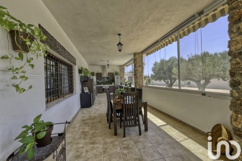 Dom w Dolores, Alicante, Hiszpania 6 sypialni, 350 mkw. nr 153917 – zdjęcie 14