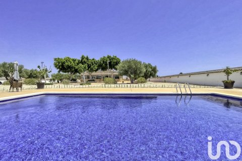 Dom w Dolores, Alicante, Hiszpania 6 sypialni, 350 mkw. nr 153917 – zdjęcie 7