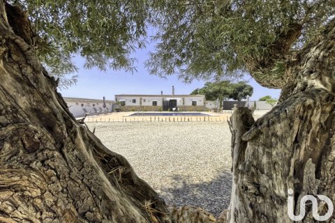 Dom w Dolores, Alicante, Hiszpania 6 sypialni, 350 mkw. nr 153917 – zdjęcie 5