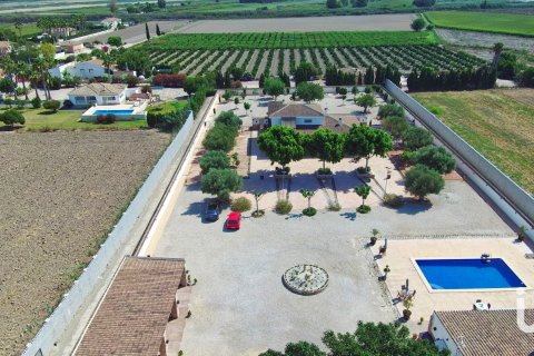 Dom w Dolores, Alicante, Hiszpania 6 sypialni, 350 mkw. nr 153917 – zdjęcie 2