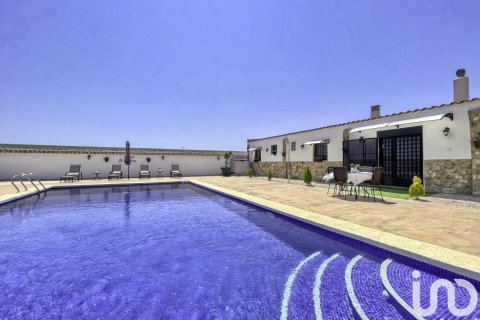 Dom w Dolores, Alicante, Hiszpania 6 sypialni, 350 mkw. nr 153917 – zdjęcie 6