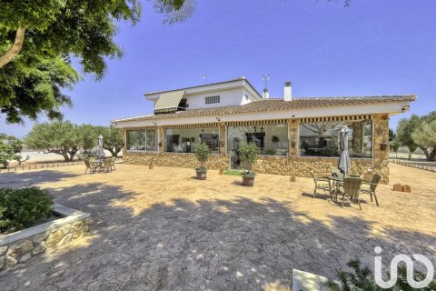 Dom w Dolores, Alicante, Hiszpania 6 sypialni, 350 mkw. nr 153917 – zdjęcie 4