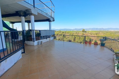 Дом в Онда, Кастельон, Испания 8 спален, 10000м2 №153914