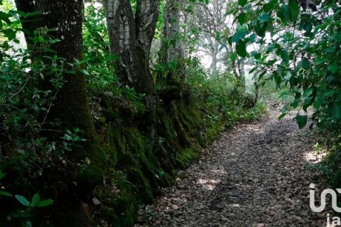 Terreno in vendita a Fuenteheridos, Huelva, Spagna 1044 mq. N° 153911 - foto 8