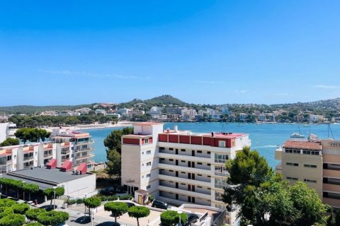 Huoneisto vuokrattavana Santa Ponsa, Mallorca, Espanja, 1 makuuhuone, 43 m2 No. 139880 - kuva 7