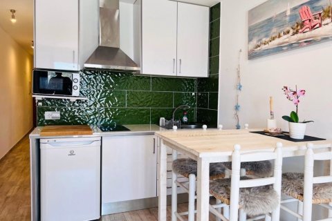 Huoneisto vuokrattavana Santa Ponsa, Mallorca, Espanja, 1 makuuhuone, 43 m2 No. 139880 - kuva 4
