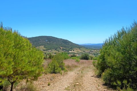 Parcela en venta en Lorca, Murcia, España 4462 m2 No. 188346 - foto 21