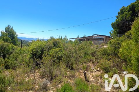 Parcela en venta en Lorca, Murcia, España 4462 m2 No. 188346 - foto 19