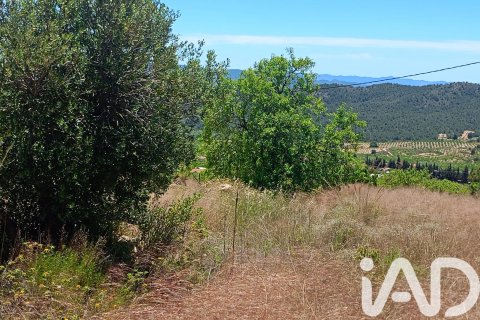 Parcela en venta en Lorca, Murcia, España 4462 m2 No. 188346 - foto 6