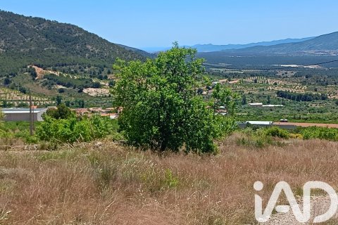 Parcela en venta en Lorca, Murcia, España 4462 m2 No. 188346 - foto 13