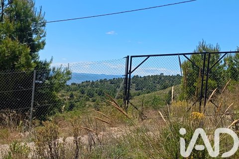 Parcela en venta en Lorca, Murcia, España 4462 m2 No. 188346 - foto 18