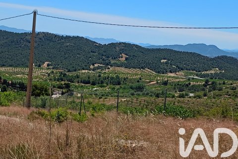 Parcela en Lorca, Murcia, España 4462 m2 No. 188346