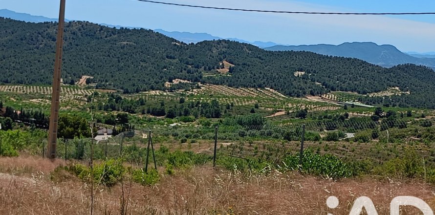 Parcela en Lorca, Murcia, España 4462 m2 No. 188346