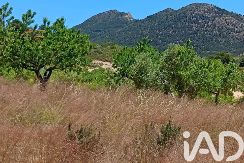 Parcela en venta en Lorca, Murcia, España 4462 m2 No. 188346 - foto 14