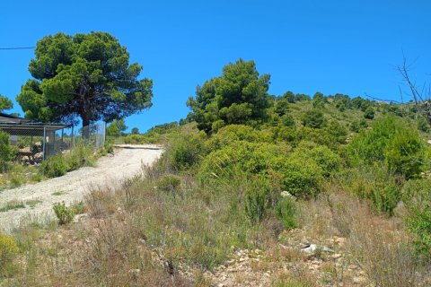Parcela en venta en Lorca, Murcia, España 4462 m2 No. 188346 - foto 3