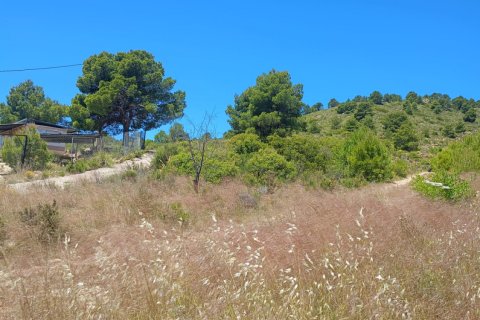 Parcela en venta en Lorca, Murcia, España 4462 m2 No. 188346 - foto 4