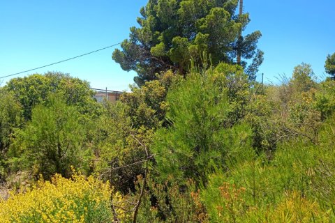 Parcela en venta en Lorca, Murcia, España 4462 m2 No. 188346 - foto 20