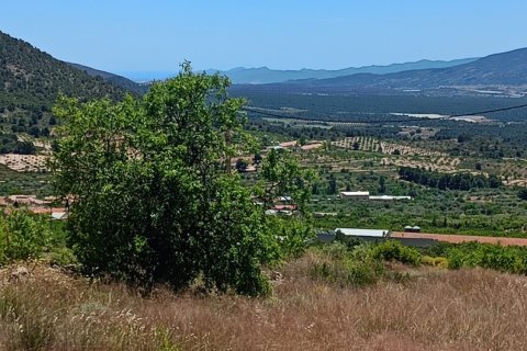 Parcela en venta en Lorca, Murcia, España 4462 m2 No. 188346 - foto 12