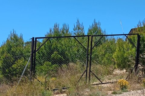 Parcela en venta en Lorca, Murcia, España 4462 m2 No. 188346 - foto 16