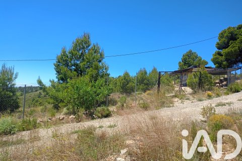Parcela en venta en Lorca, Murcia, España 4462 m2 No. 188346 - foto 9