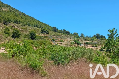 Parcela en venta en Lorca, Murcia, España 4462 m2 No. 188346 - foto 15