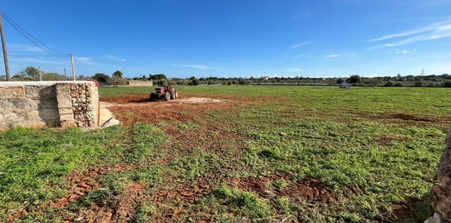 Parcela en Manacor, Mallorca, España 3 dormitorios, 14332 m2 No. 142676