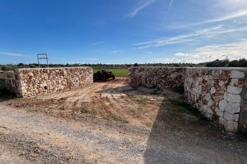 Parcela en venta en Manacor, Mallorca, España 3 dormitorios, 14332 m2 No. 142676 - foto 4