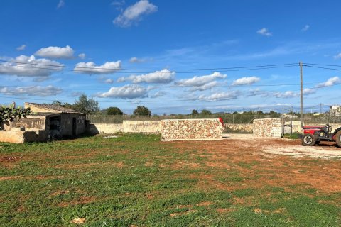 Parcela en venta en Manacor, Mallorca, España 3 dormitorios, 14332 m2 No. 142676 - foto 3