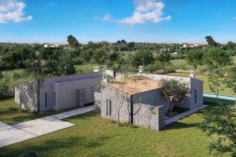 Parcela en venta en Manacor, Mallorca, España 3 dormitorios, 14332 m2 No. 142676 - foto 6