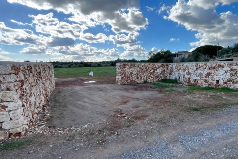 Parcela en venta en Manacor, Mallorca, España 3 dormitorios, 14332 m2 No. 142676 - foto 5