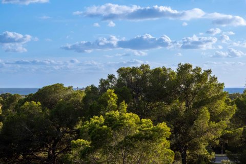 Villa in vendita a Santa Ponsa, Mallorca, Spagna 4 camere da letto, 380 mq. N° 142672 - foto 15