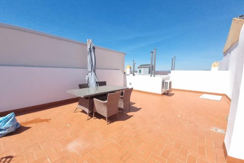 Bungalow in vendita a Torrevieja, Alicante, Spagna 2 camere da letto, 55 mq. N° 183017 - foto 15