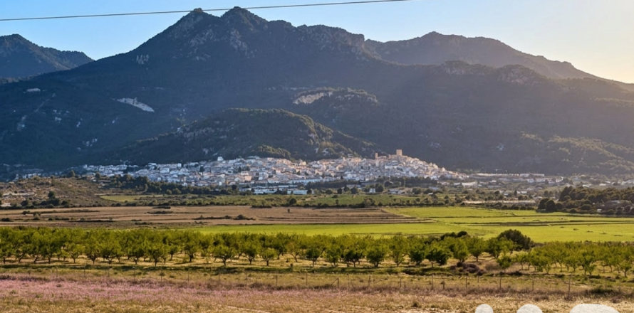 Tomt i Moratalla, Murcia, Spanien 251000 kvm. Nr. 172786