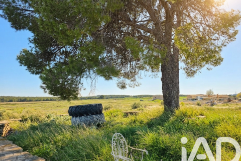 Tomt till salu i Moratalla, Murcia, Spanien 251000 kvm. Nr. 172786 - foto 2