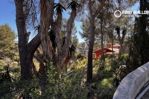 Tomt till salu i Peguera, Mallorca, Spanien 1500 kvm. Nr. 161048 - foto 3