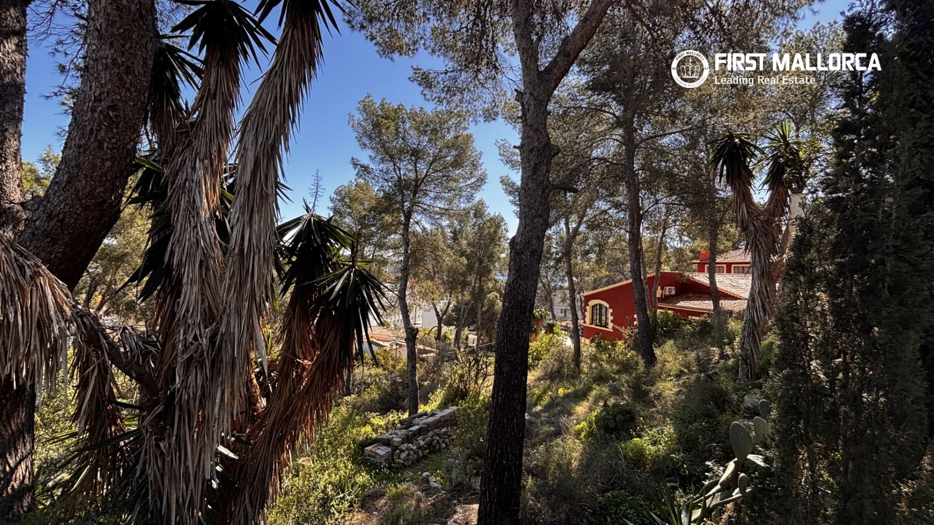 Land plot à Peguera, Mallorca, Espagne 1500 m2 No. 161048