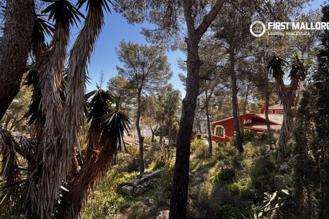 Tomt till salu i Peguera, Mallorca, Spanien 1500 kvm. Nr. 161048 - foto 2