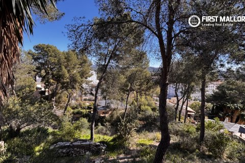 Tomt i Peguera, Mallorca, Spanien 1500 kvm. Nr. 161048