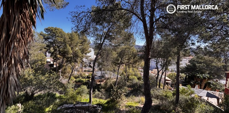 Tomt i Peguera, Mallorca, Spanien 1500 kvm. Nr. 161048