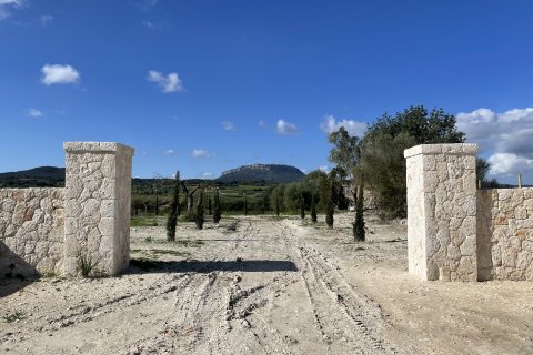 Zemes gabals pārdošanā Montuiri, Mallorca, Spānijā 3 istabas, 15630 m2 Nr. 161049 - attēls 20