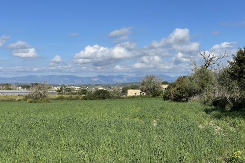 Zemes gabals pārdošanā Montuiri, Mallorca, Spānijā 3 istabas, 15630 m2 Nr. 161049 - attēls 21