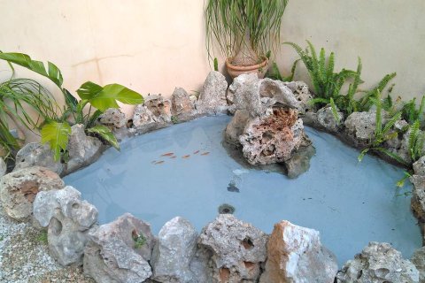 Radhus för uthyrning i Sa Pobla, Mallorca, Spanien 3 sovrum, 224 kvm. Nr. 161050 - foto 15