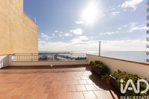 Commercial property for sale in L'Ampolla, Tarragona, Spain 599 sq.m. No. 172693 - photo 1